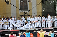 ukazky 2012__19.JPG